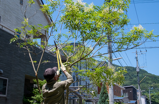 【伐採・除草工事】お庭の「困った」をスッキリ解決